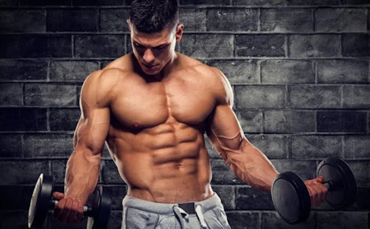 DMHA Booster: Maximale Trainingsleistung bei Fatburnerking